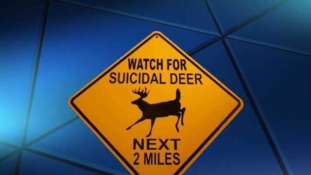 Suicidal Deer Sign Draws Mixed Reaction 