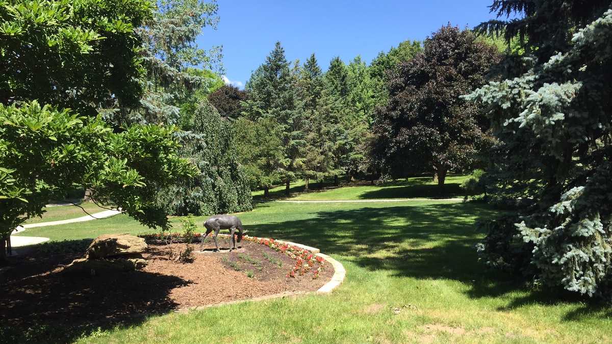 PHOTOS Sneak peek at new Urbandale Baldwin Dunlap Park