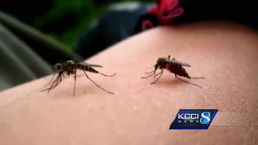 Iowans are urged to wear insect repellent with DEET when spending time outdoors.