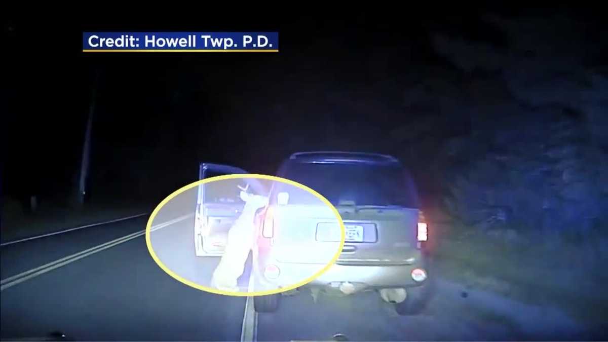 Caught on Camera Deer jumps into SUV after crash