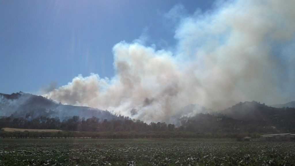 Fire Crews Battle Yolo County Wildfire   15631884 15631884 