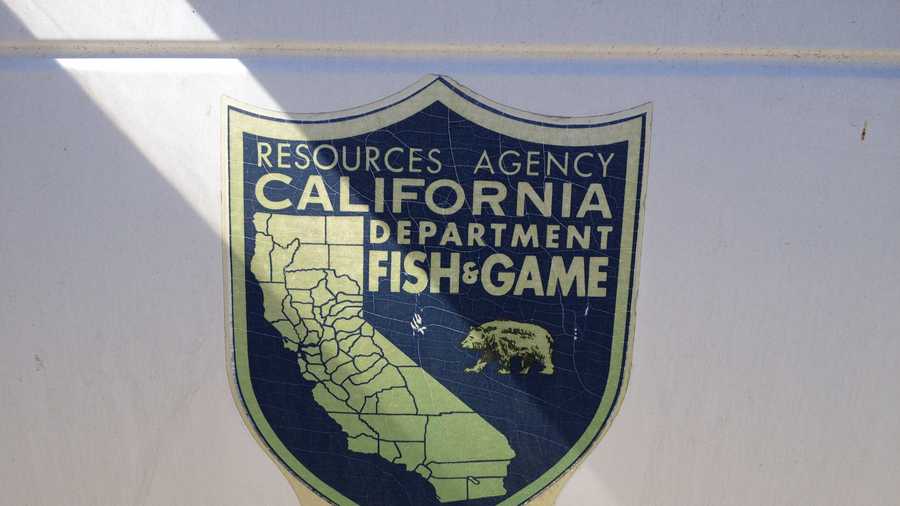 Ca Dept Fish Game