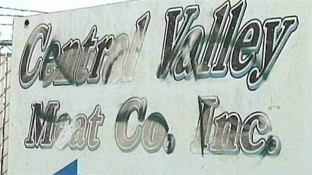 USDA bought meat from slaughterhouse