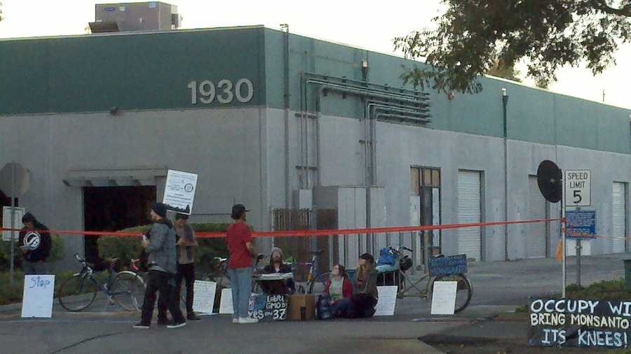 On Monday morning, about 100 Occupy protesters blocked off the parking lot to Monsanto Corporation on 5th Street in Davis. 