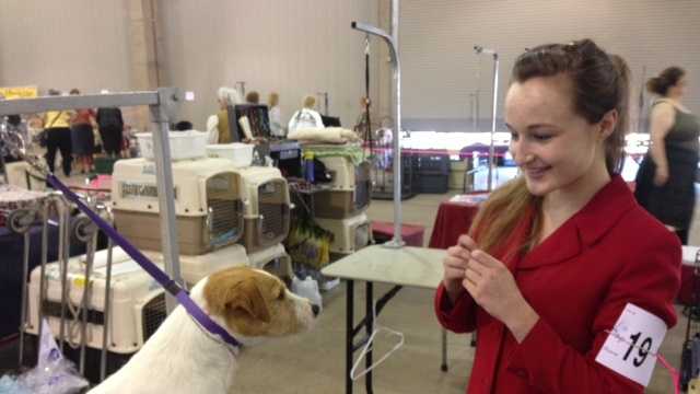Jessica Hadley shows off her dog, Captain Jack Sparrow, during the Sacramento Kennel Club dog show at Cal Expo.