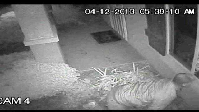 Police in Stockton are trying to identify a man caught on a home-surveillance camera peeking into the window of a child's bedroom early Friday morning.
