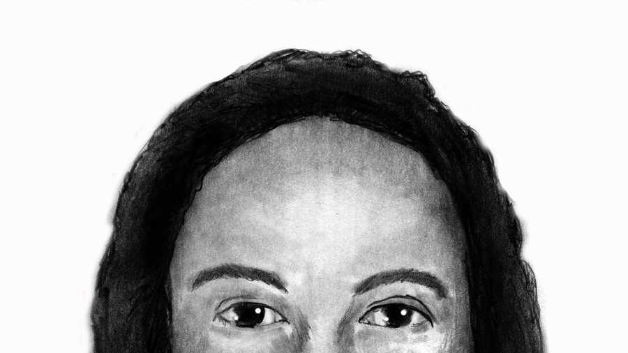 Sketch of kidnapping suspect (May 13, 2013)