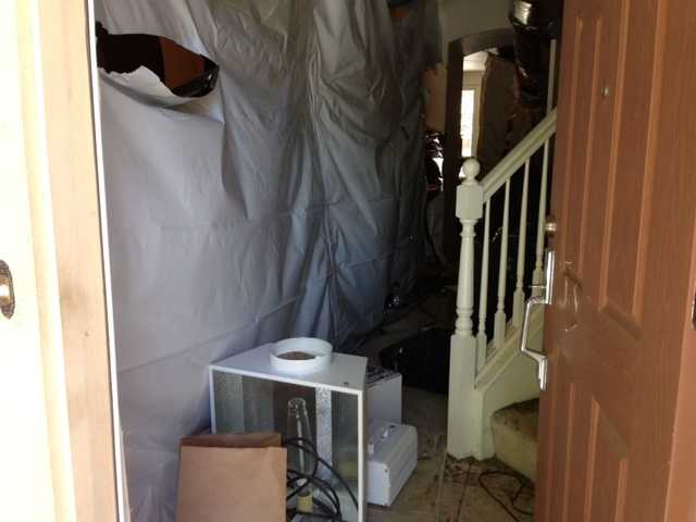 Photos: Tracy PD raids home, makes large pot bust