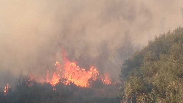 The cause of the Rim Fire remains under investigation.