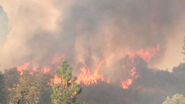 Wildlife officials were also trying to monitor at least four bald eagle nests in the fire-stricken area.