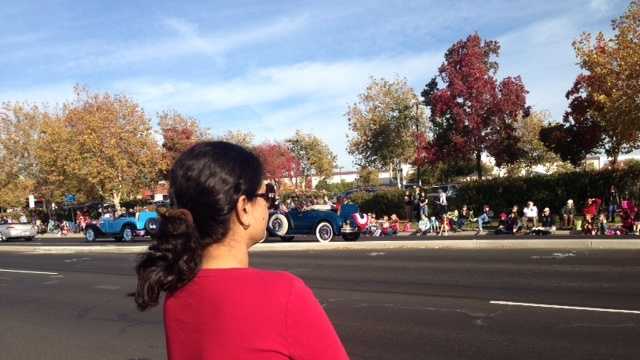 Veterans day parade jrotc