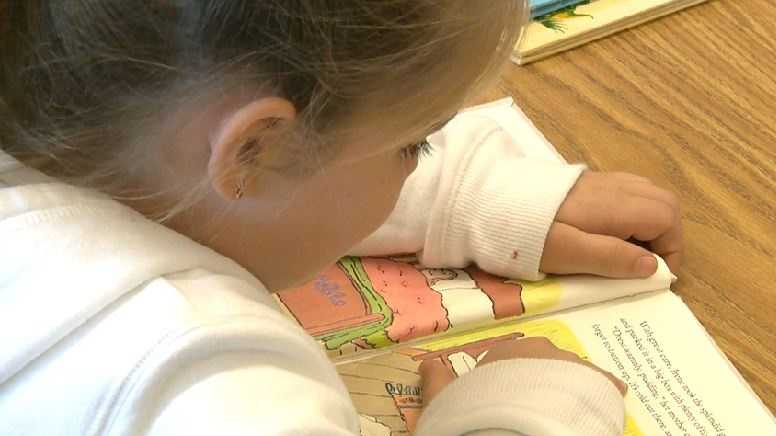 A student reads in the library at Natoma Station Elementary School in Folsom.
