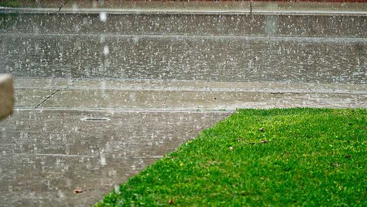 Fayetteville Rainfall Last 24 Hours