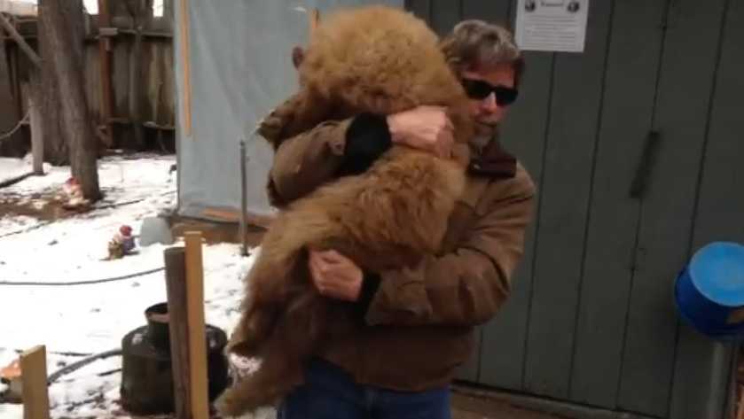 Injured Bear Rescued At Tahoe Ski Resort