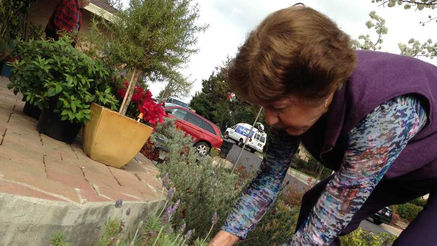 Sharon Schlesinger tends her drought-tolerant yard in Roseville.