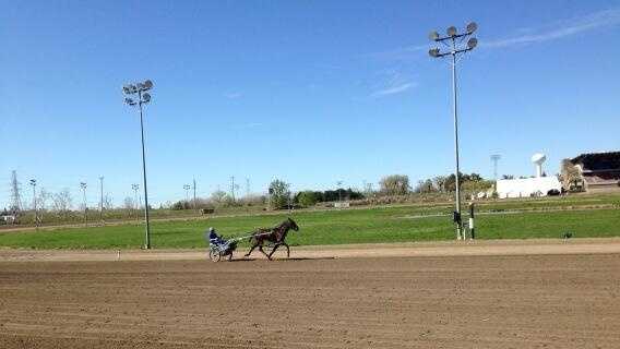 Officials investigate mysterious horse death at Cal Expo