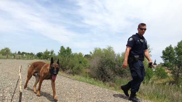 A police dog helped with Friday's search (May 2, 2014).