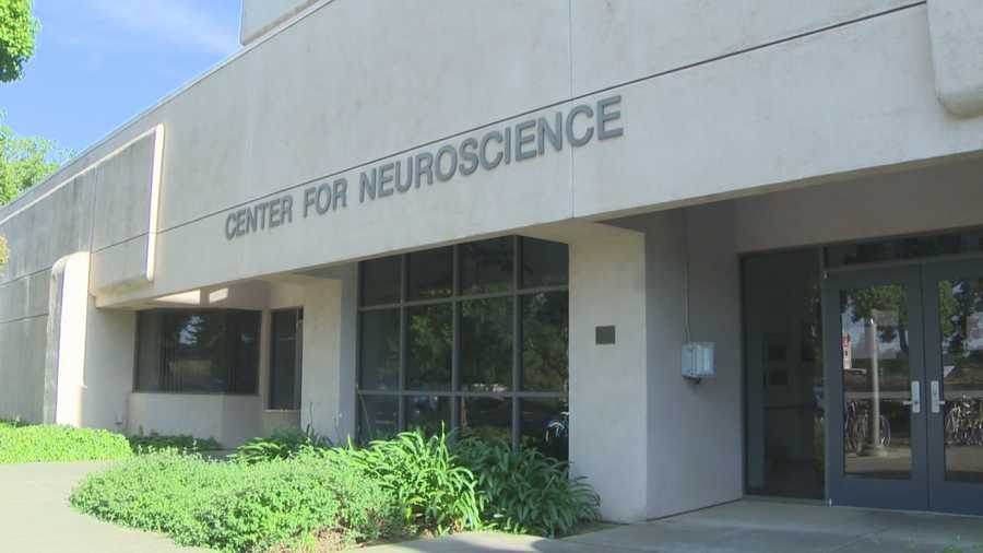 Windows of a neuroscience building were damaged. The graffiti was found Monday.
