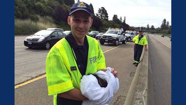 A kitten was rescued from the wheel well of a car on Interstate 580 in Oakland. (May 19, 2014)