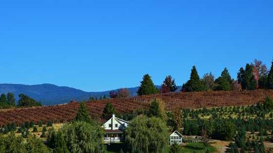 1. Apple Hill -- The crisp mountain air at Apple Hill in El Dorado County attracts visitors year-round to see the vineyards and orchards beaming with delicious food and drink. Many visitors come to enjoy the fun family farms and gorgeous golf course.
