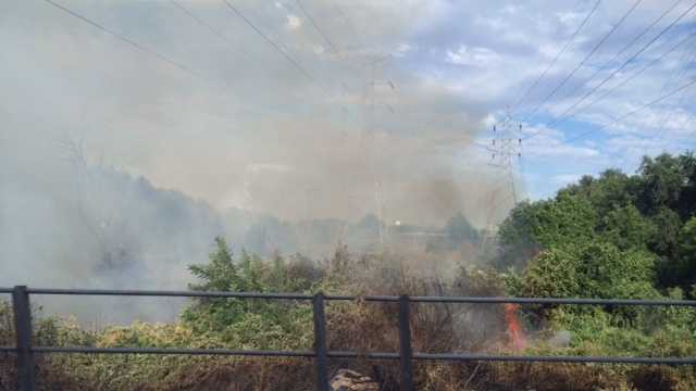 A grass fire burned along the American River Parkway near Cal Expo Tuesday.