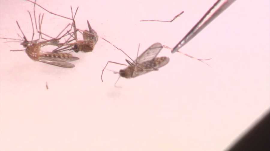 People in the North Natomas part of Sacramento are upset over the West Nile virus aerial spraying that happened over the weekend, saying the planes deposited possibly harmful materials covering their homes and their pets without notice.