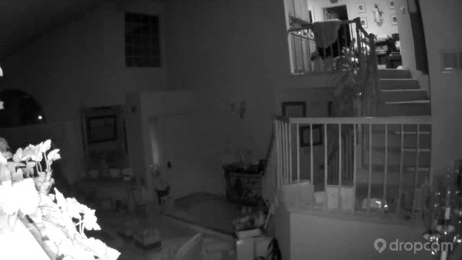 Watch surveillance video from inside a home that was captured during the Napa earthquake early Sunday morning.