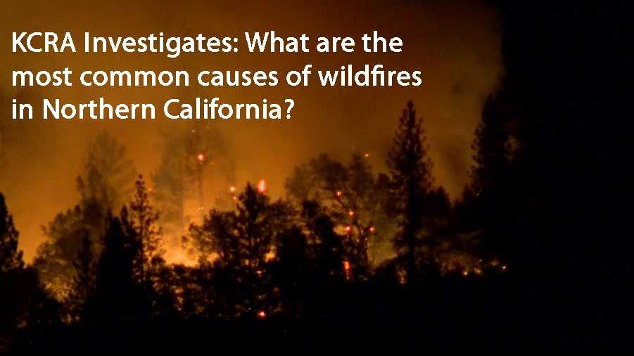 What Are The Most Common Causes Of Wildfires 2159