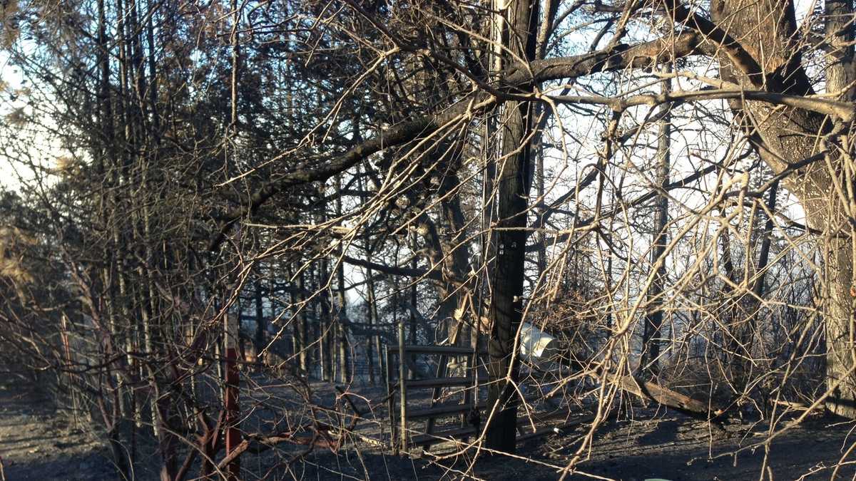 All evacuations lifted as Applegate Fire fizzles out