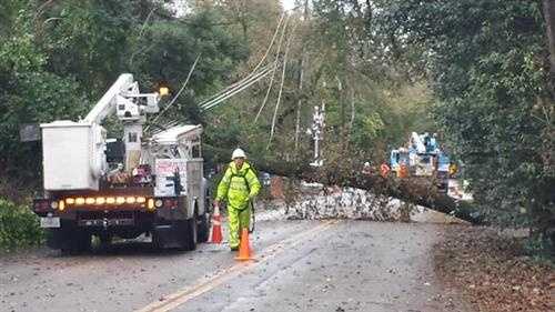 PG&E crews work to repair power lines taken down by a large oak tree in North Stockton. (Dec. 15, 2014)