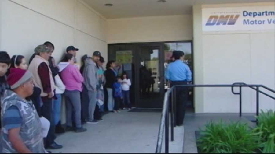 California issues 59,000 driver's licenses to immigrants