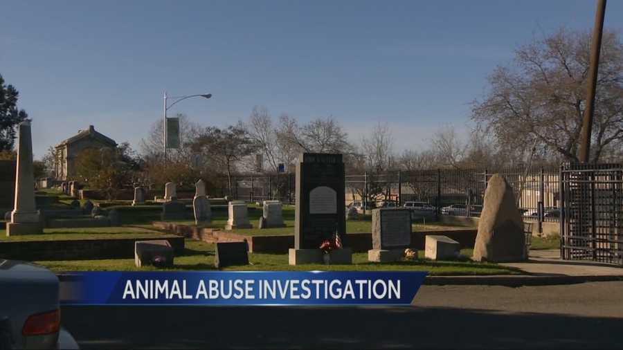 Dismembered animals were found near a kids playground but today we learned there was an earlier incident at a cemetery.