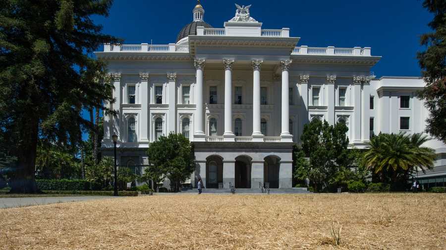 This photo of dead grass in front of California's state Capitol.