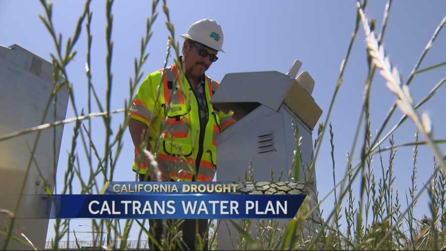 Caltrans plans to slash landscaping projects and let grass at rest areas go brown to reduce water use.