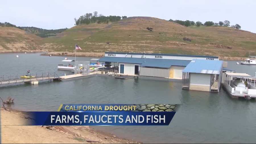 Water districts are hoping to block a scheduled water release for fish. The battleground is at New Melones Lake, near Angels Camp.