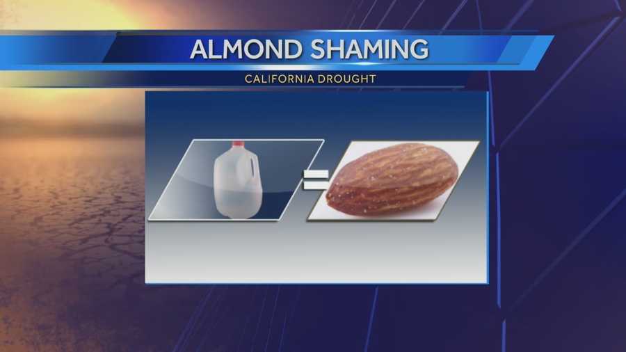 Almond farmers are being shamed after a new report shows it takes one gallon of water to produce one almond.