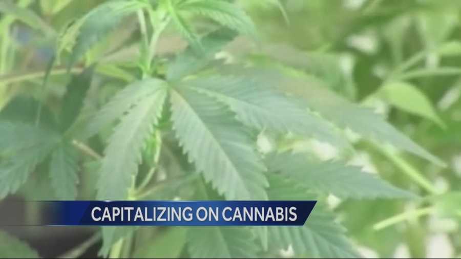 A business seminar in Sacramento taught attendees how to make money in medical marijuana field.