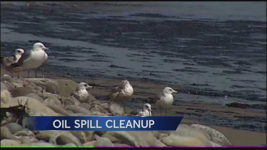 Cleanup of the estimated 105 thousand gallons of oil spilled on Refugio Beach in Santa Barbara County is underway.