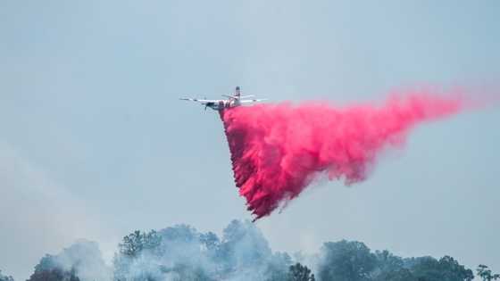 35 acres charred in wildfire near Shingle Springs