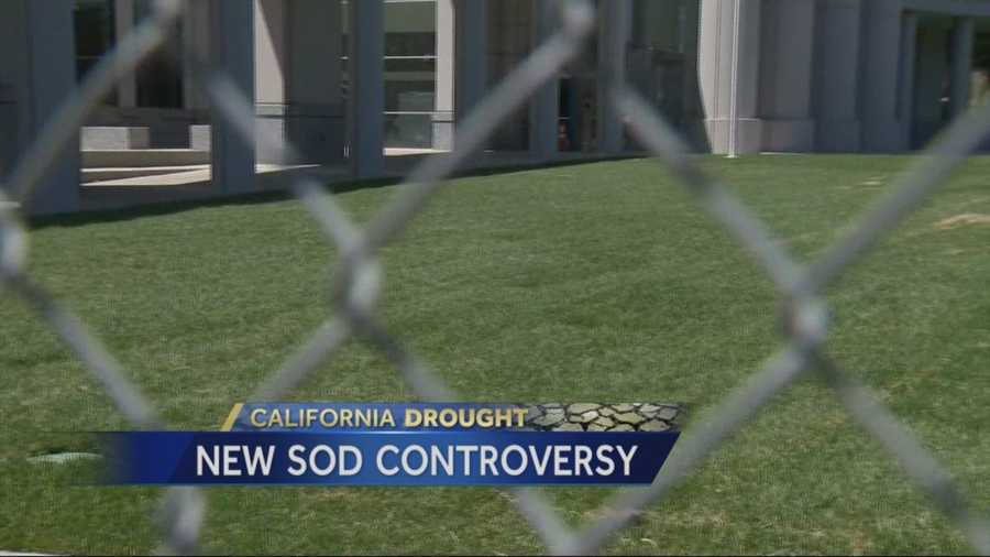 There is a controversy brewing in Woodland, where a new lawn was put in front of the Yolo County Courthouse, despite the state's historic drought.
