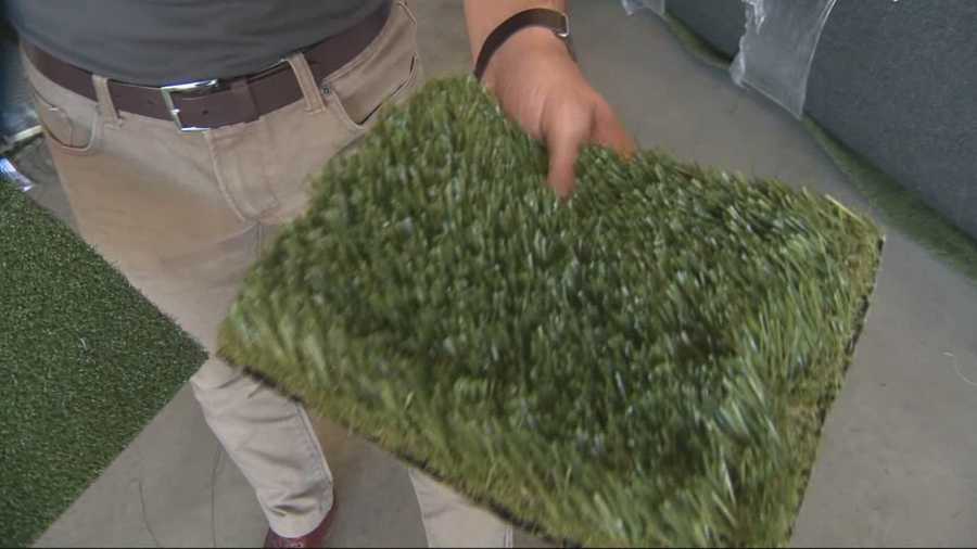 Drive anywhere in Sacramento and you won't see much artificial turf in front yards, that's because a city ordinance bans it. But that could be changing very soon.