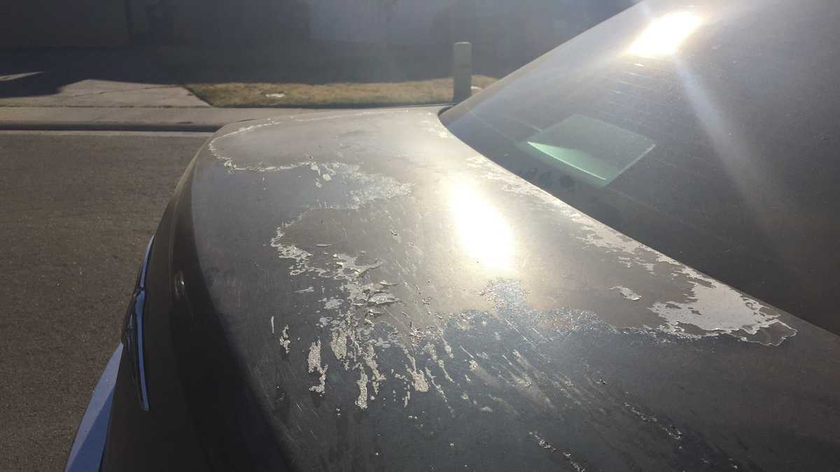 13 cars in Citrus Heights targeted in vandalism
