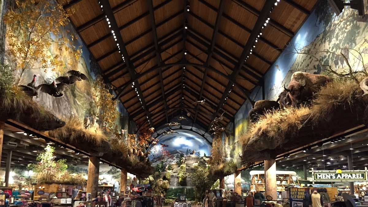 7 things to know about Rocklin's Bass Pro Shops