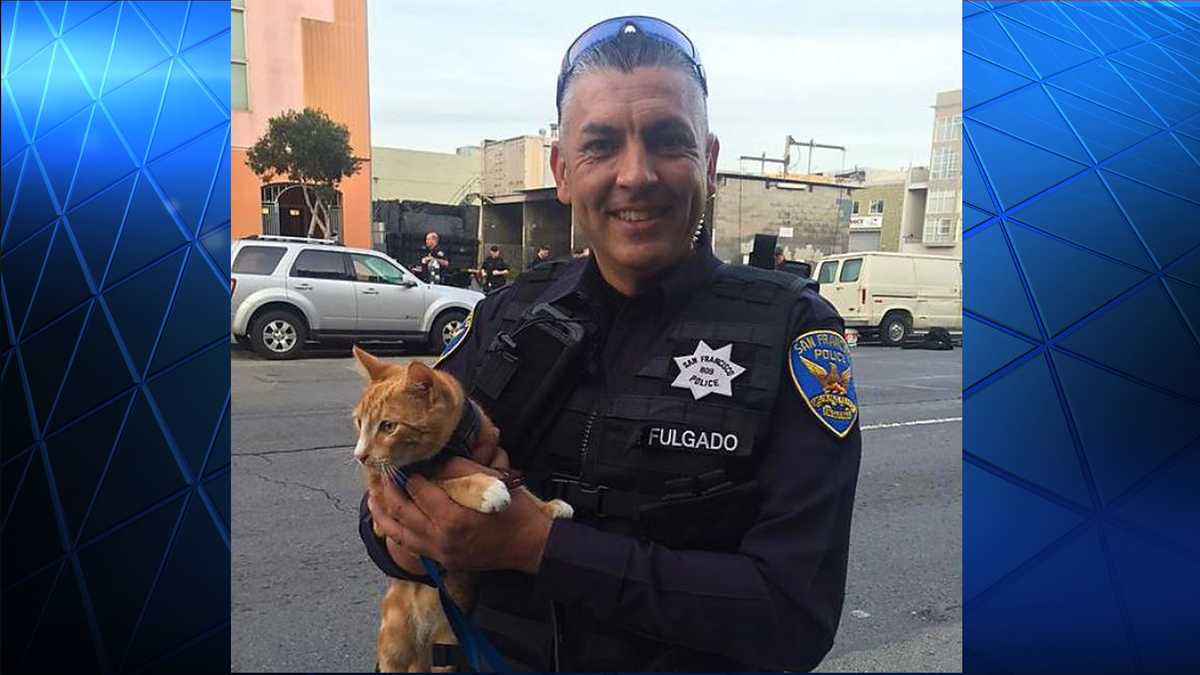 SF cops use cat to coax suicidal man off ledge