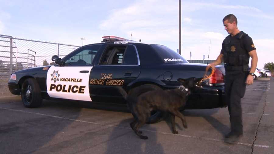 Vacaville K9 Officer Roscoe and his handler Frank Piro.