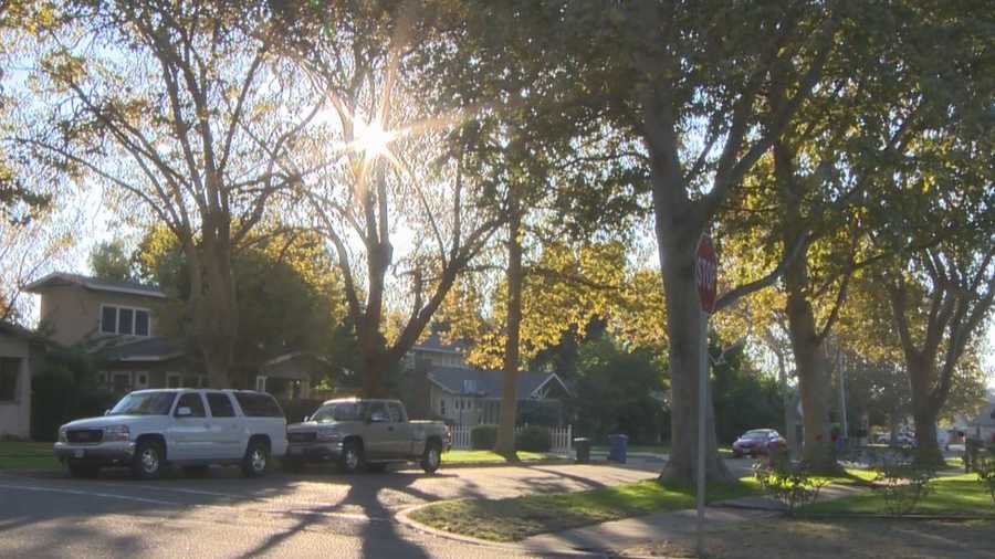 A woman said she was sexually assaulted by a man while walking home on a Friday night in this Turlock neighborhood. Turlock police said on Thursday, Nov. 12, 2015, five woman were assaulted by the same man over the past two months.