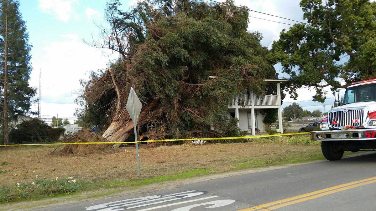 NWS categorizes tornado in Denair as EF1
