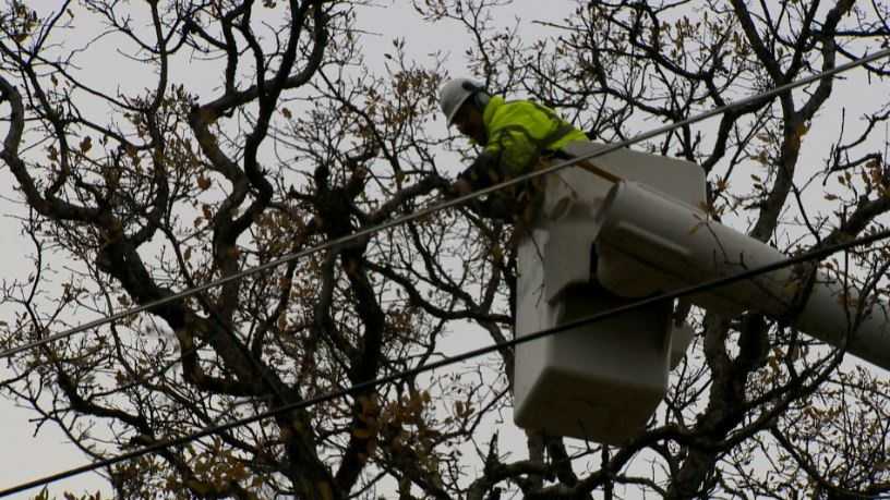 A PG&E contract crew trims a tree in Auburn on Wednesday.
