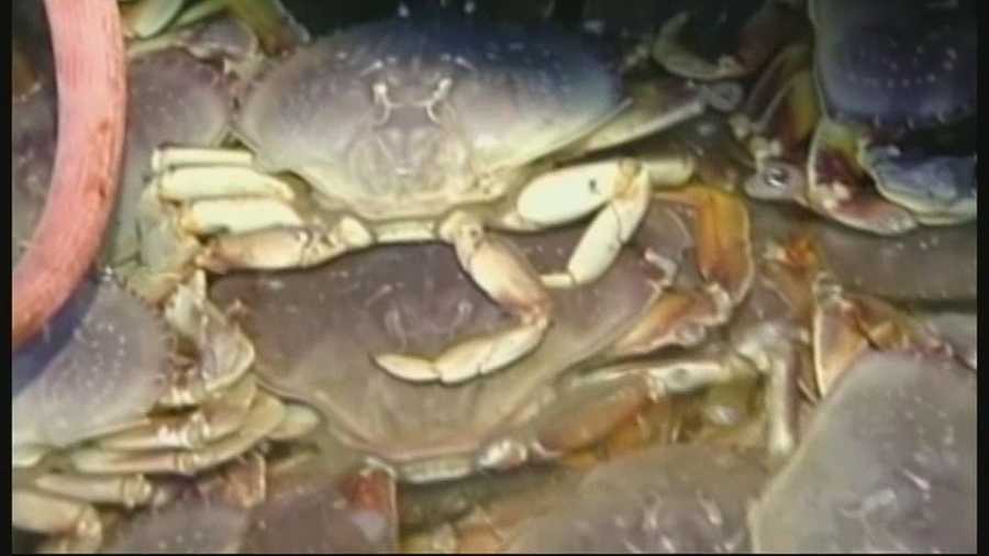 Chances are slim that Central Coast families will feast on local crab anytime before 2016.
