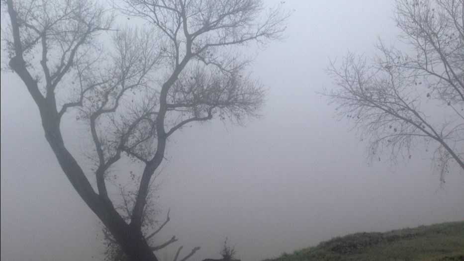 Fog blankets Valley during Friday morning commute